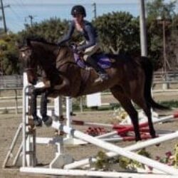 Tess Kersey: Success Story, 200% improvement in 6 months!