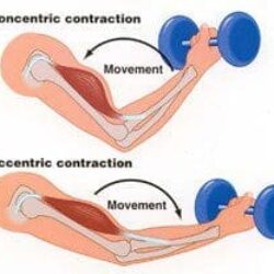 Different Way of Training