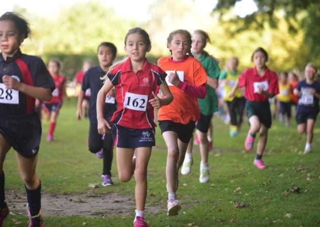 Champion's Quest Los Alamitos Sports Academy