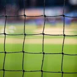 Luke  Brown: Striving for Success