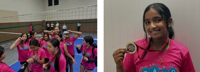 "Volleyball